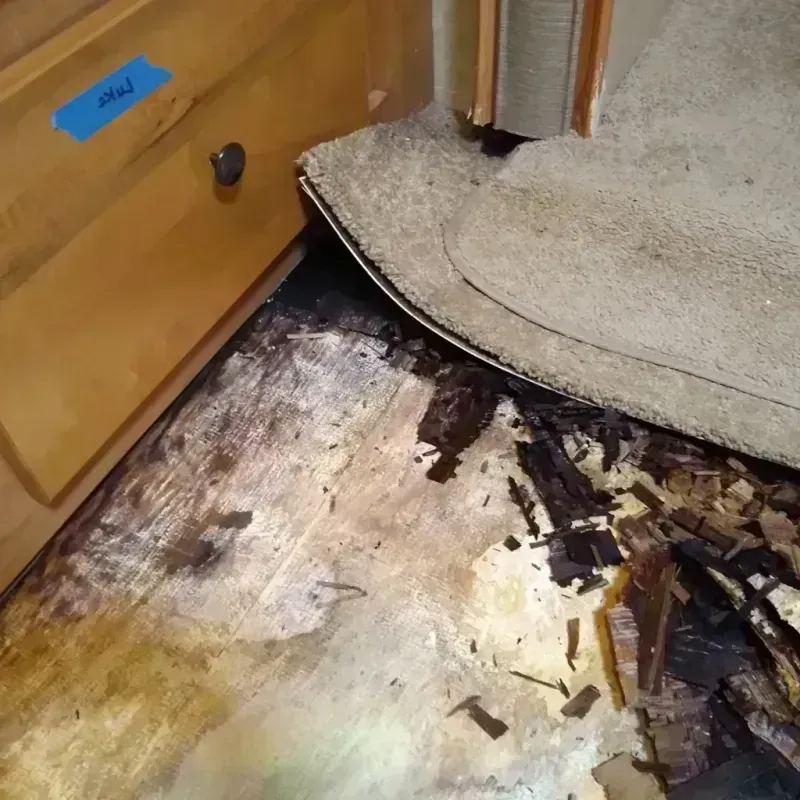 Wood Floor Water Damage in West Alexandria, OH